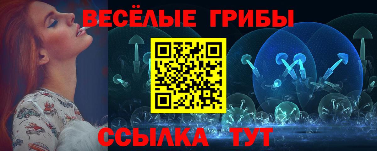 Галлюциногенные грибы ЛСД  Галлюциногенные грибы Psilocybine cubensis  Богданович  Вход с VPN 